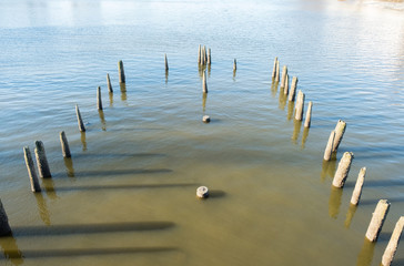 Isolated pier stakes in lake water. Abandoned pier pylons in ocean lake water.  - 324582212
