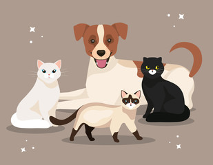 group of cute cats with dog vector illustration design