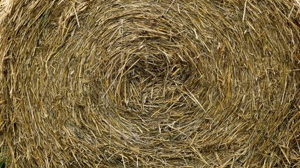 Stroh zur Einlagerung aufgerollt