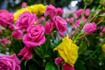 Obraz na płótnie Canvas Pink and yellow roses in flower market..Beautiful pink and yellow floral background. Concept of holiday, presents, flower shop.