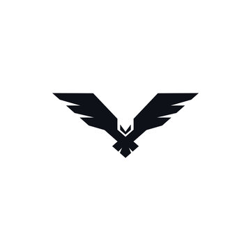 Hawk black icon on white background. Flying bird icon. Abstract logo template for your ideas. 
