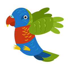 Cartoon australian animal bird parrot on white background illustration