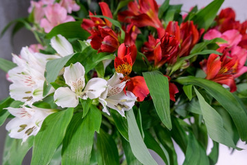 Peruvian composition of flowers. Close up of flowers.Beautiful floral background.Selective focus.