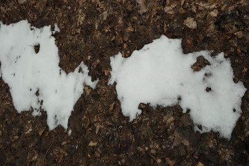 last snow 