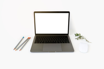 Fototapeta premium Creative workspace table with laptop and mouse, pencils and eucalyptus branch.