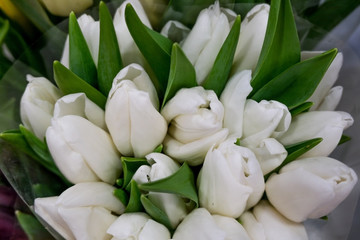 White tulips, selective focus. Flowers in the flower market..