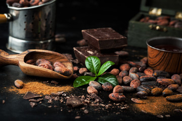 Cocoa beans, chocolate and cocoa powder