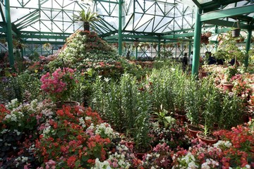 Glass House flower garden 