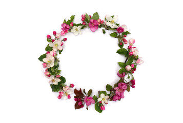 Frame of flowers apple tree on a white background with space for text. Top view, flat lay