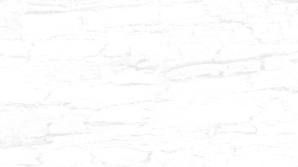 Obraz premium White wood plank texture for background.