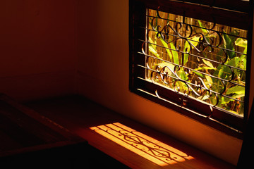 morning light shines next to the window