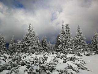 Zimowa sceneria w niskich Tatrach na Słowacji