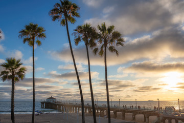 Palm trees at Manhattan Beach at sunset, Los Angeles, California. Fashion travel and tropical beach concept.	