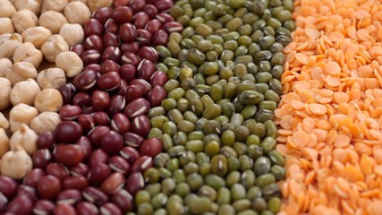 Assorted Legumes: Orange And Green Lentils, Mung Beans, Adzuki Beans, Red Beans, Chickpeas. 