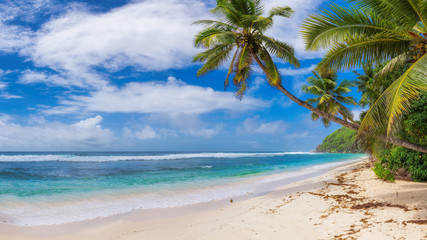 Obraz na płótnie Canvas Tropical Beach. Sunny beach with coco palms and turquoise sea. Summer vacation and tropical beach concept. 