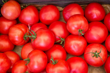 tomato background