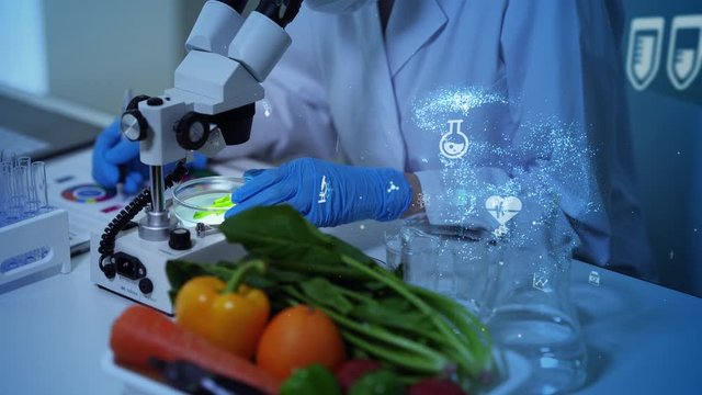 食品と科学