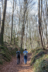 Obraz premium Couple walking in the forest in a sunny day