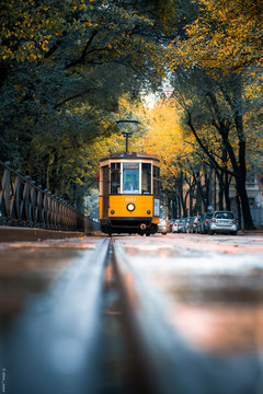 tram tram