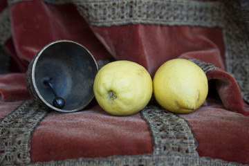 Bodegón compuesto por dos limones y una campana