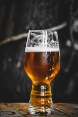 Argentine Beer