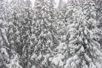 A heavy snowstorm while on a moving cable car looking at the window