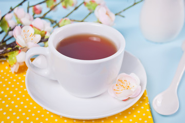 A cup of tea and cherry blooming with flowers sakura on the table. Spring concept.