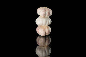 Still life photos of garlic in black background.