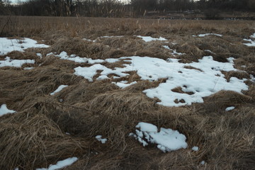  last snow on brown field grass