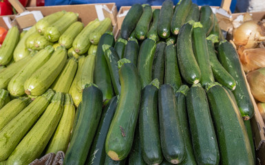 Organics green and yellow zucchini sold on farmers market