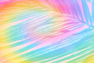 Tropical nature botanical background striped pattern from palm leaves in neon pastel rainbow colors. Beautiful wallpaper poster template for beach party