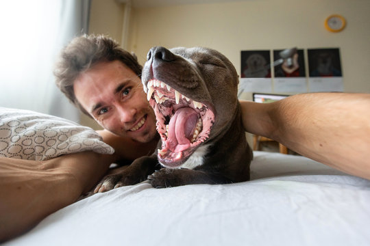 Cheerful young man taking selfie with dog on bed in flat