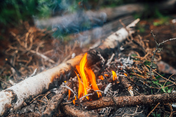 Burning branches and brushwood in fire close-up. Atmospheric warm background with orange flame of campfire and blue smoke. Beautiful full frame image of bonfire. Firewood burns in vivid flames.