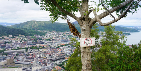 Bergen is a city and municipality in Vestland on the west coast of Norway.