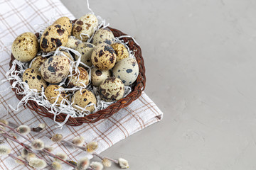 Quail eggs are placed in a wicker basket next to a willow twig. Getting ready for Easter. On white background.