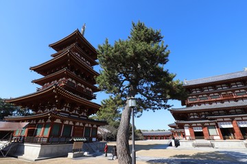 Naklejka premium 薬師寺