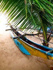 Beautiful image of palm tree and traditional fishing boat on the Sri Lanka