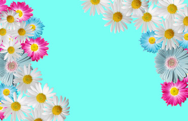 Background for greeting card with flowers