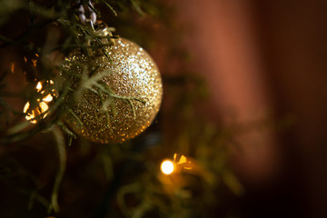 Ball Christmas Ornament Hanging on the Tree