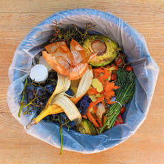 Domestic waste for compost from fruits and vegetables in garbage bin.