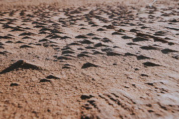Sandy beach texture