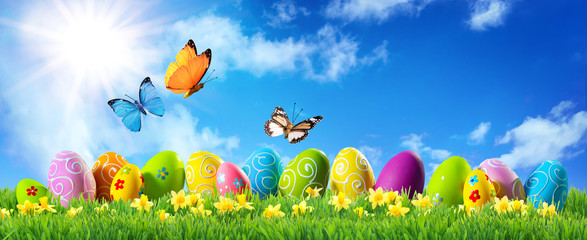 Colorful Easter eggs on green grass at sunny day
