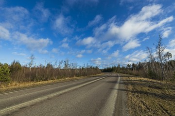 Amazing view over spring forest with green trees on blue sky with white clouds background. Green yellow trees and road. Gorgeous nature backgrounds. 