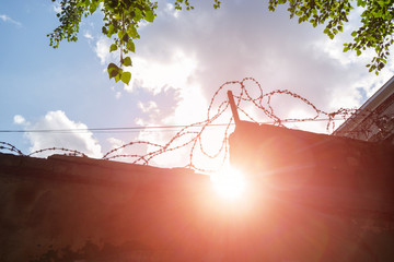 Concrete prison fence surrounded by barbed wire against sky, green leaves of trees and bright...