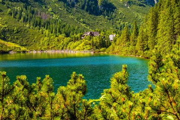 Panoramic view of the Morskie Oko mountain lake surrounding larch, pine and spruce forest with Schronisko przy Morskim Oku shelter house in background © Art Media Factory