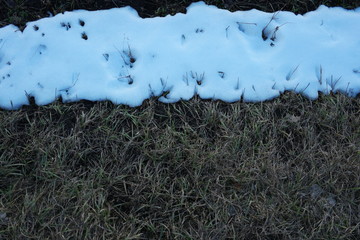 last snow on grass 