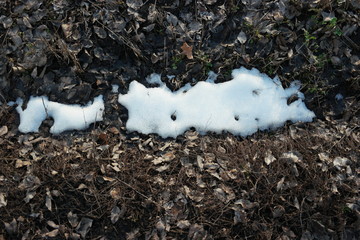  last snow on  field grass 