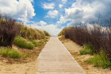 Wooden path to the beach between the dunes, Langeoog Germany