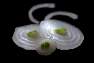 Funny face made from onion slices, cuts and pieces isolated on black background close up top view