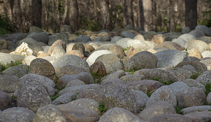 Glade with oval large stones on the background of tree trunks